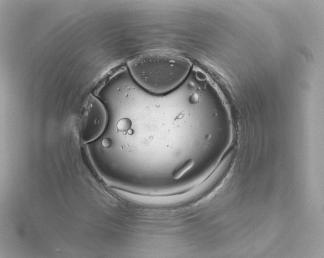 X0000115691305200911251805