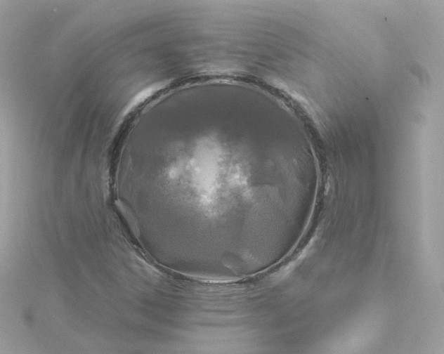 X0000115691306200911251805