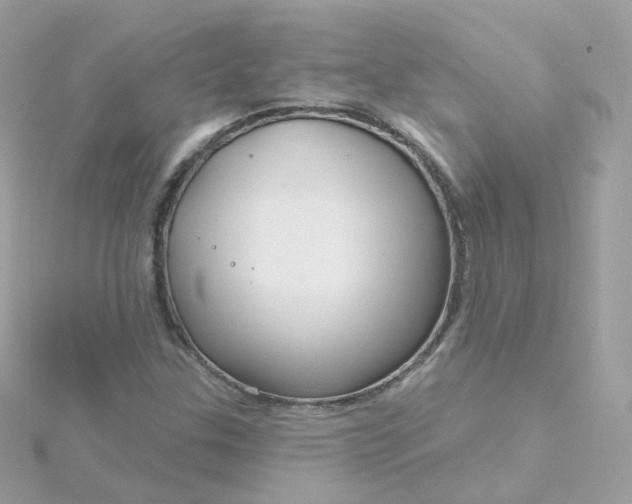 X0000115691307200911251805