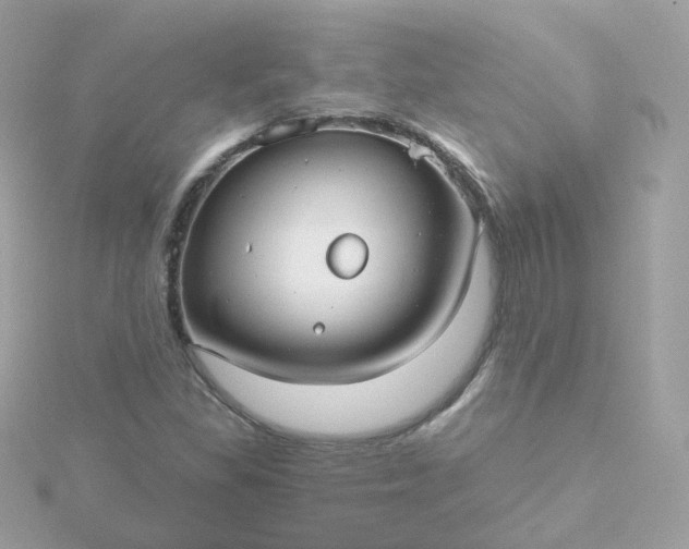 X0000115691309200911251805