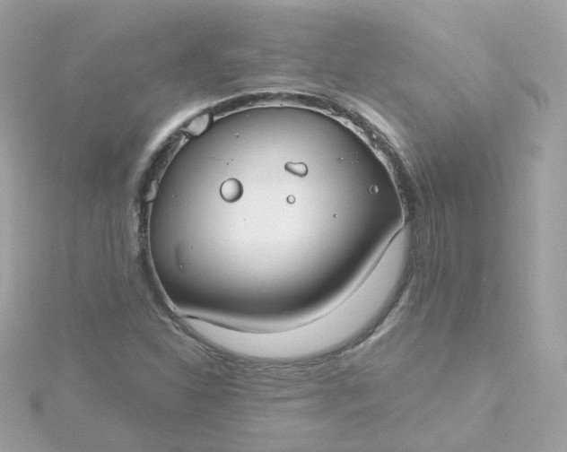 X0000115691310200911251805