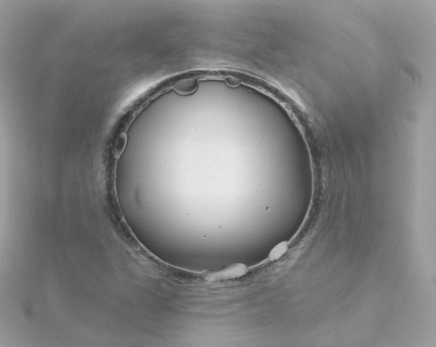 X0000115691311200911251805