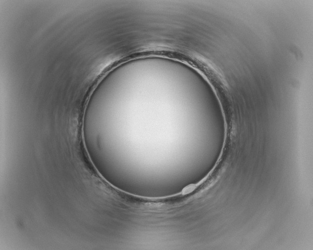 X0000115691313200911251805