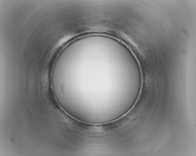 X0000115691315200911251805