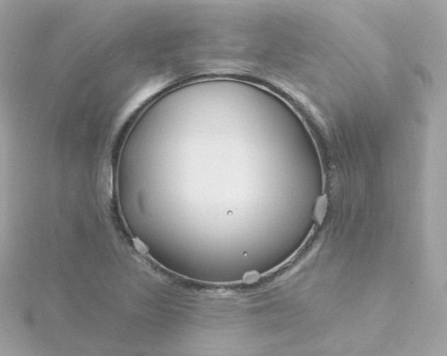 X0000115691317200911251805