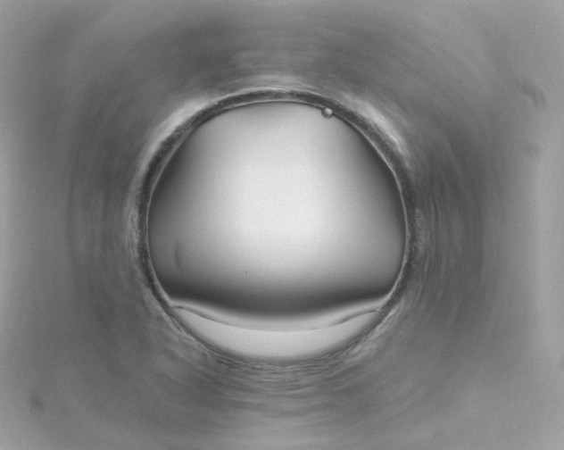 X0000115691318200911251805