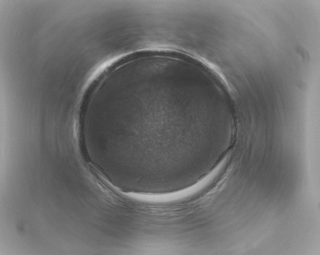 X0000115691319200911251805