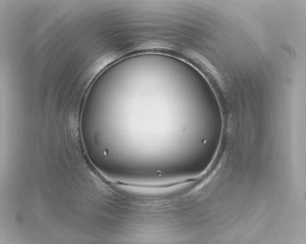 X0000115691321200911251805