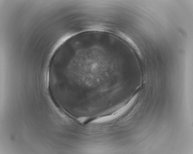 X0000115691323200911251805