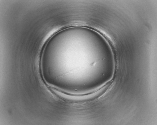 X0000115691325200911251805