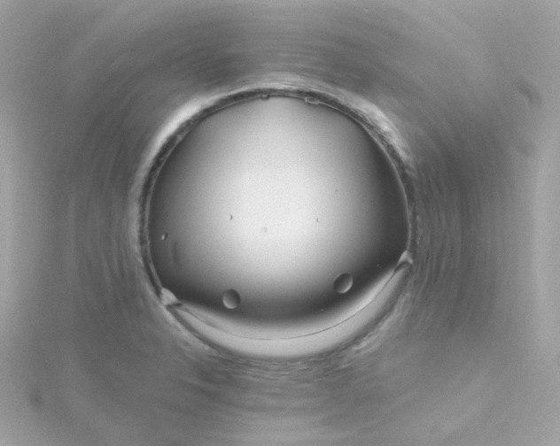 X0000115691326200911251805