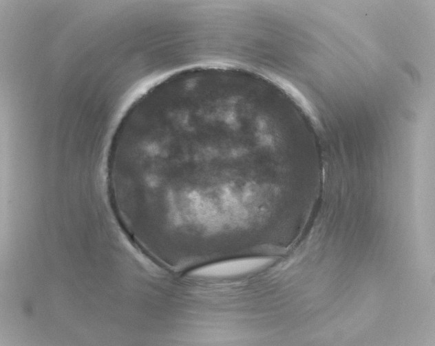 X0000115691327200911251805