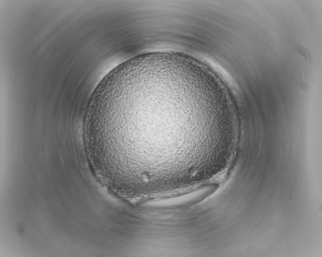 X0000115691329200911251805