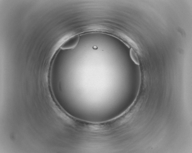 X0000115691330200911251805