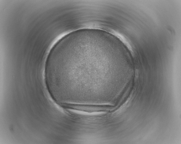 X0000115691331200911251805