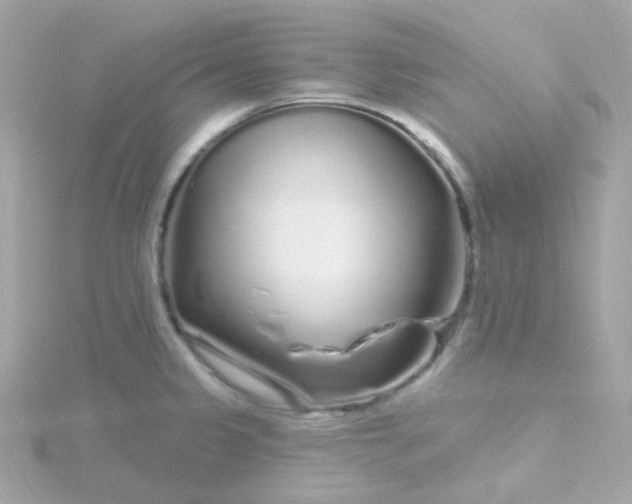 X0000115691333200911251805