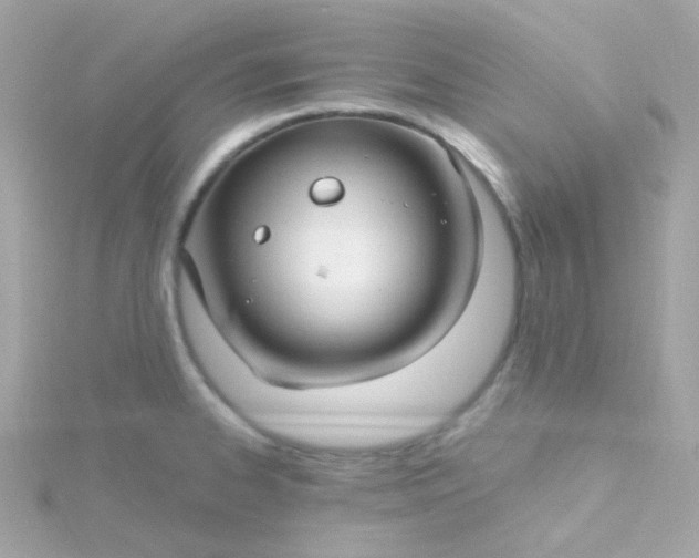 X0000115691334200911251805