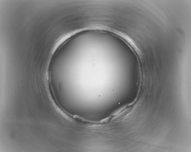 X0000115691335200911251805