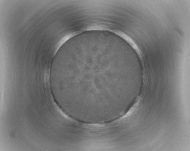 X0000115691337200911251805