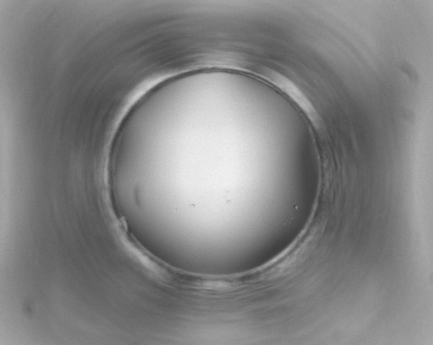 X0000115691339200911251805