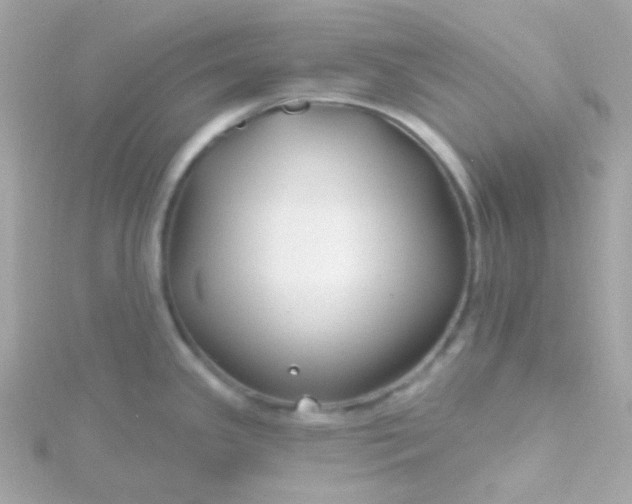 X0000115691341200911251805