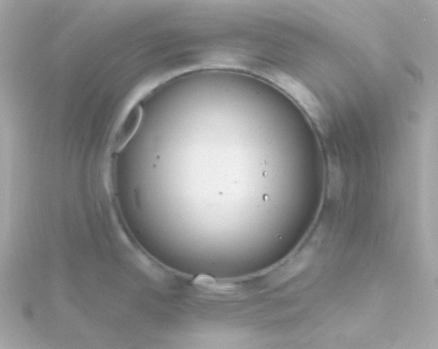 X0000115691342200911251805