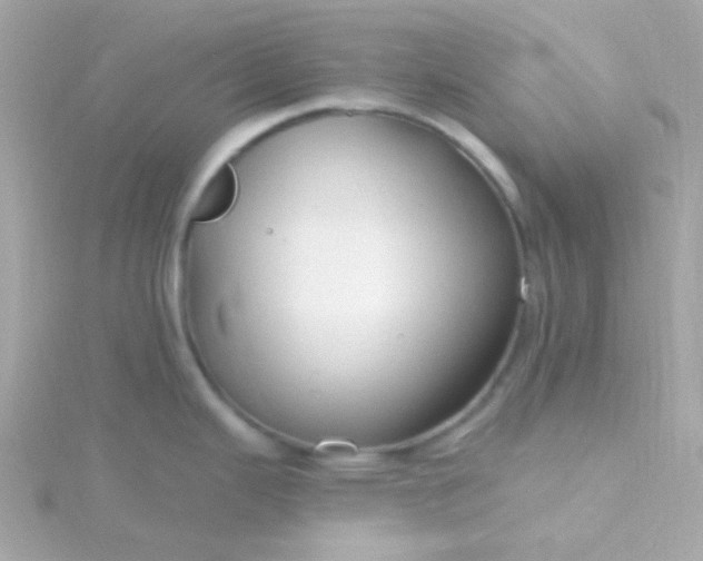 X0000115691343200911251805