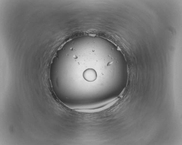 X0000115691345200911251804