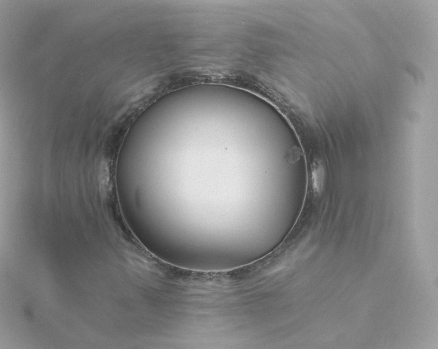 X0000115691347200911251804