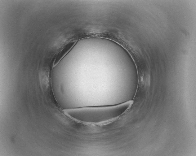 X0000115691348200911251804