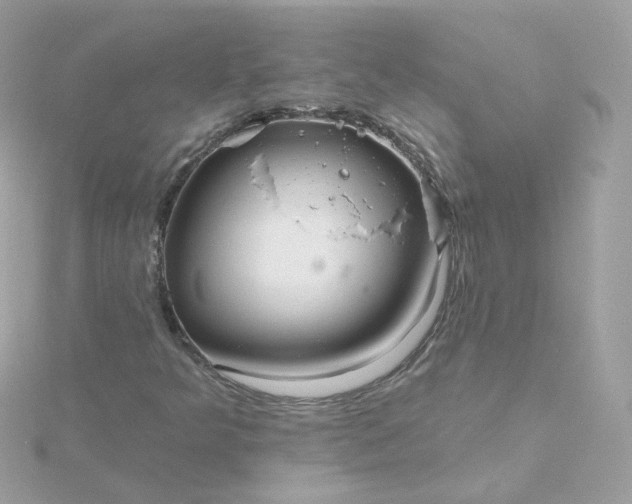 X0000115691349200911251804