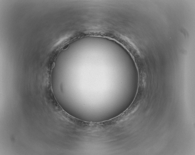 X0000115691350200911251804