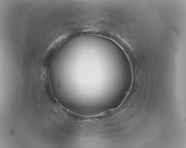 X0000115691351200911251804