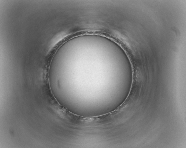 X0000115691352200911251804