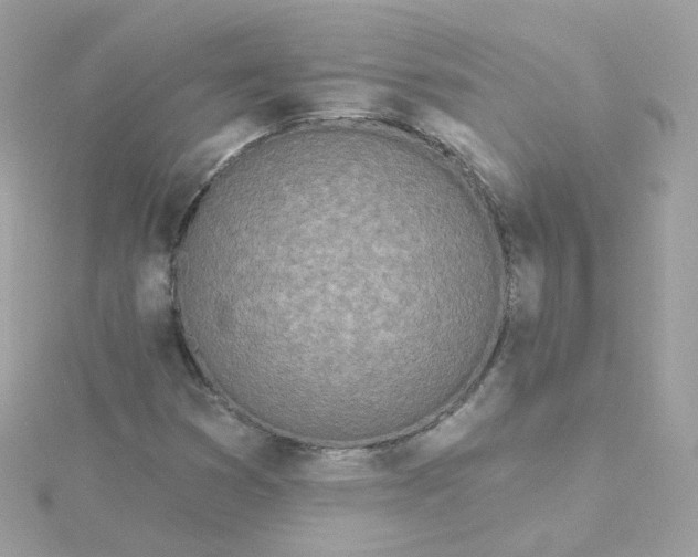 X0000115691353200911251804