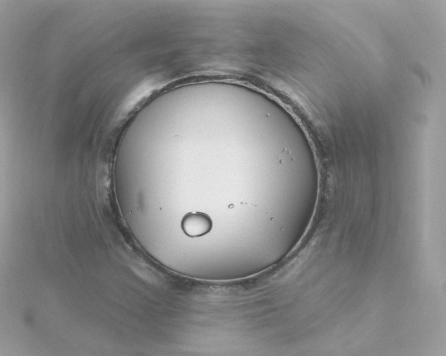 X0000115691355200911251804