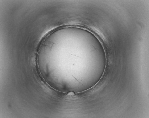 X0000115691356200911251804