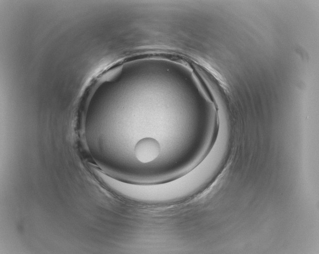 X0000115691357200911251804