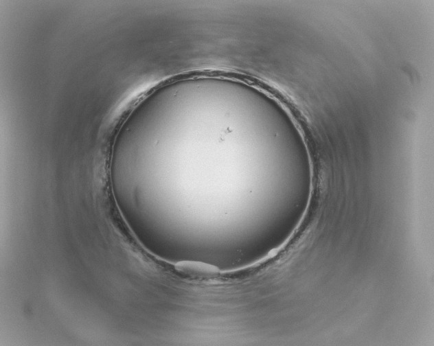 X0000115691359200911251804