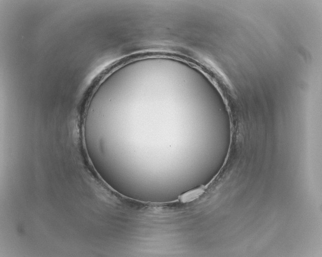 X0000115691360200911251804