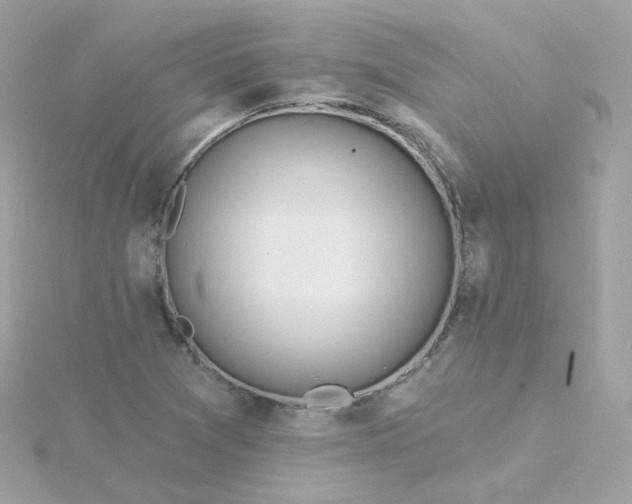 X0000115691361200911251804