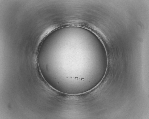 X0000115691362200911251804