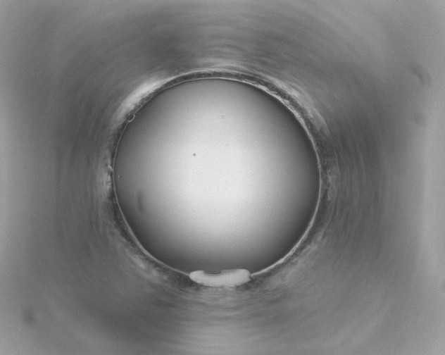 X0000115691363200911251804