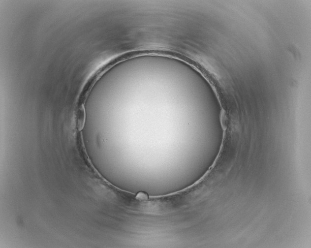 X0000115691364200911251804