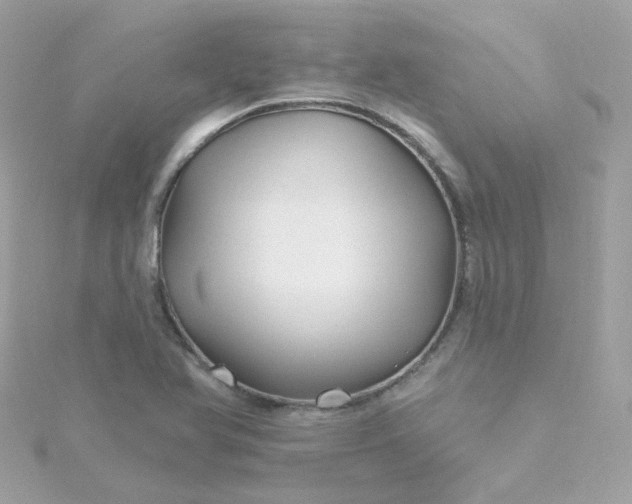 X0000115691366200911251804