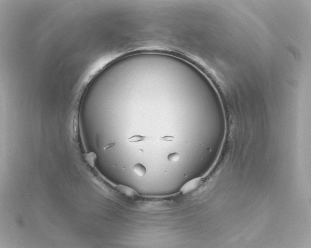 X0000115691367200911251804