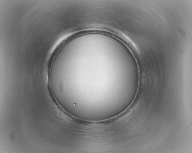 X0000115691368200911251804