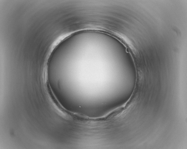 X0000115691371200911251804