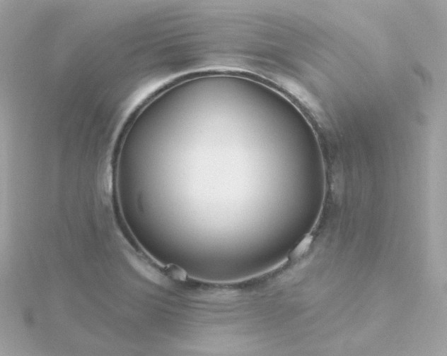 X0000115691372200911251804