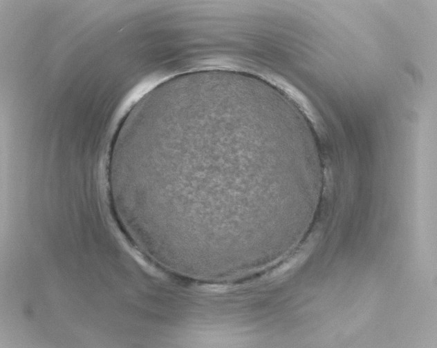 X0000115691373200911251804